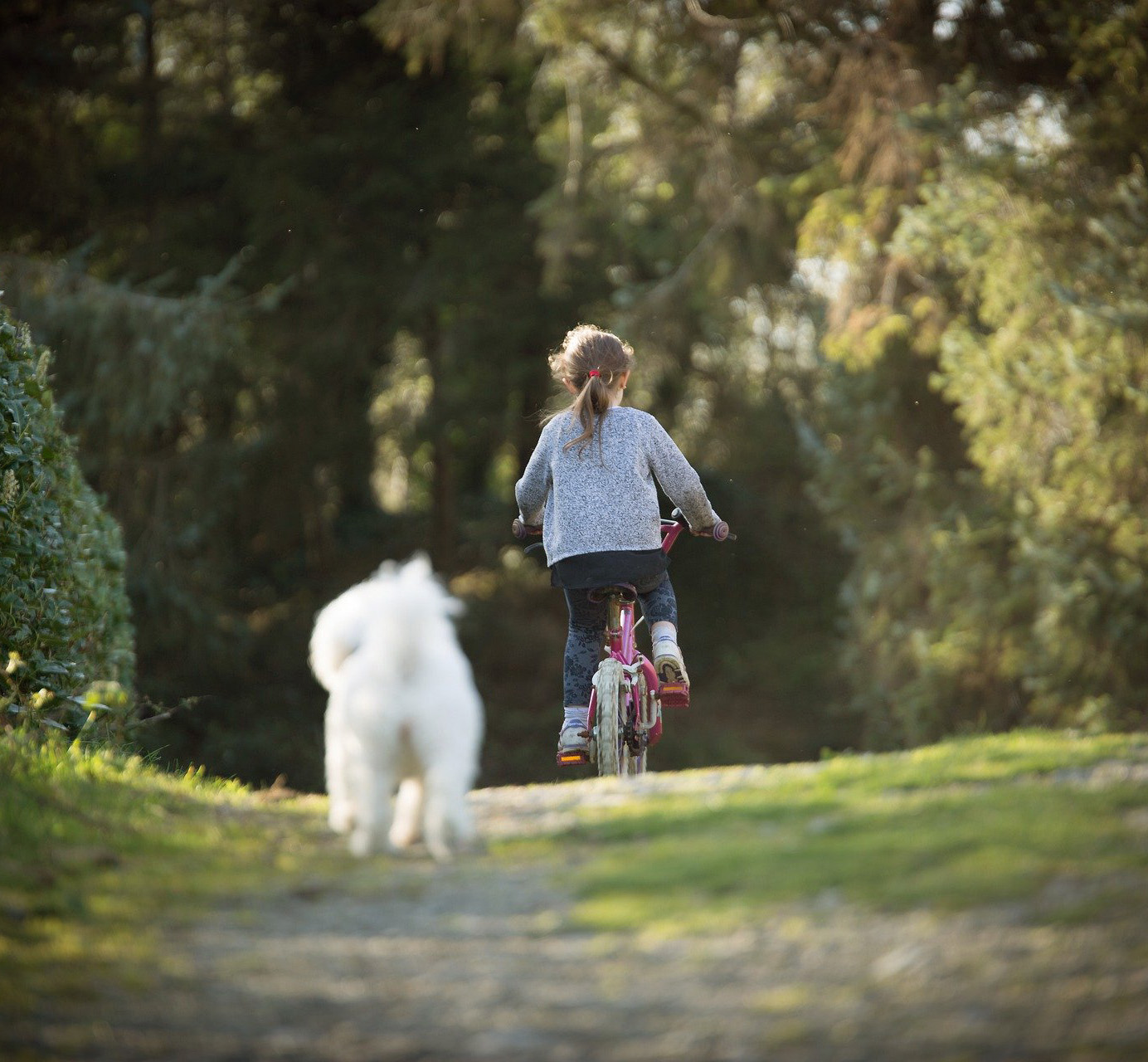 Voorzieningen in OolderVeste